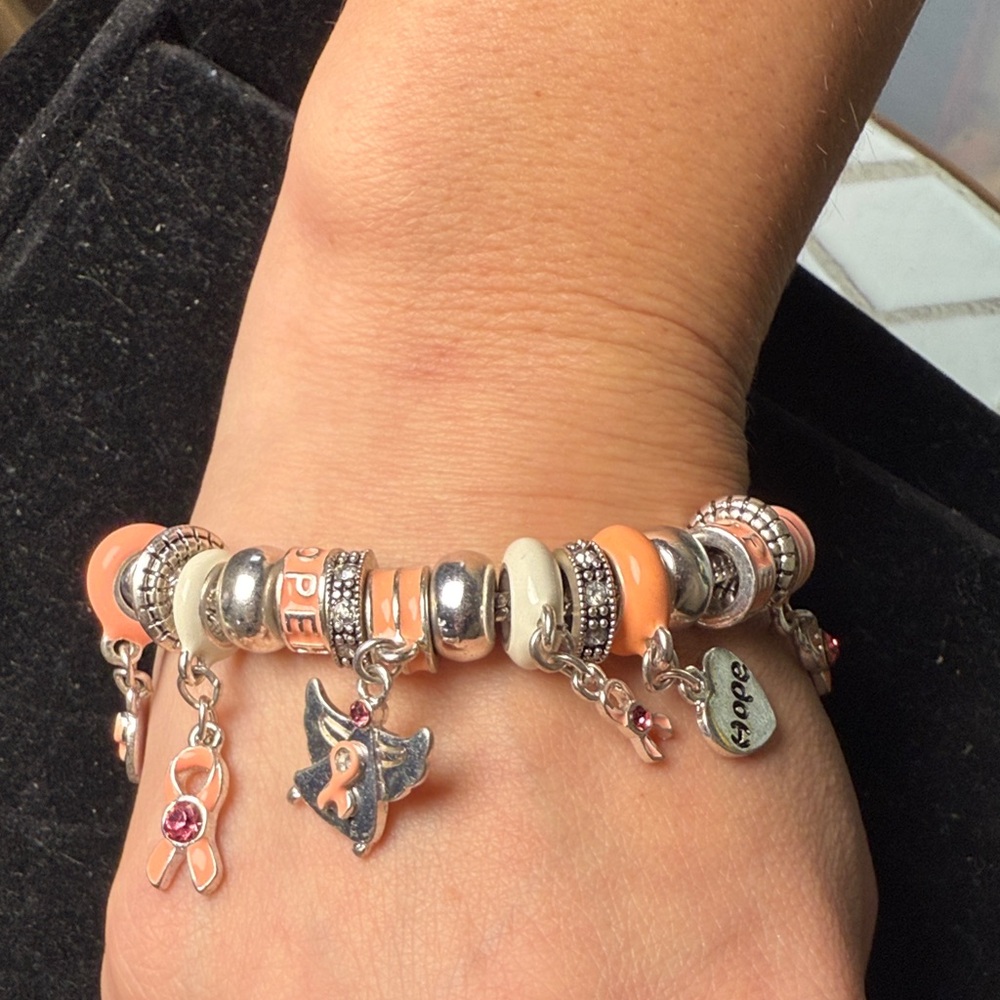 Breast Cancer‎ Awareness Charm Bracelet Silver Tone and Pink Charms